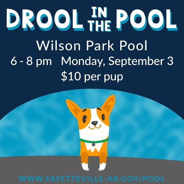 Dogs to take over Wilson Park pool in Fayetteville