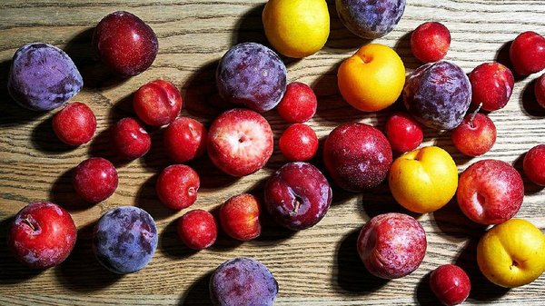 Crossbred fruits confuse consumers, but are still selling | The ...