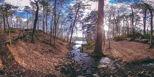 Submitted photo VIRTUAL VIEW: A panoramic view from a trail at Garvan Woodland Gardens will give potential visitors a unique look at Hot Springs in a new virtual reality film from Visit Hot Springs. The convention and visitors bureau said the two virtual reality films it produced, "Hot Springs, The Experience of a Lifetime," are the first of their kind in tourism marketing in Arkansas.