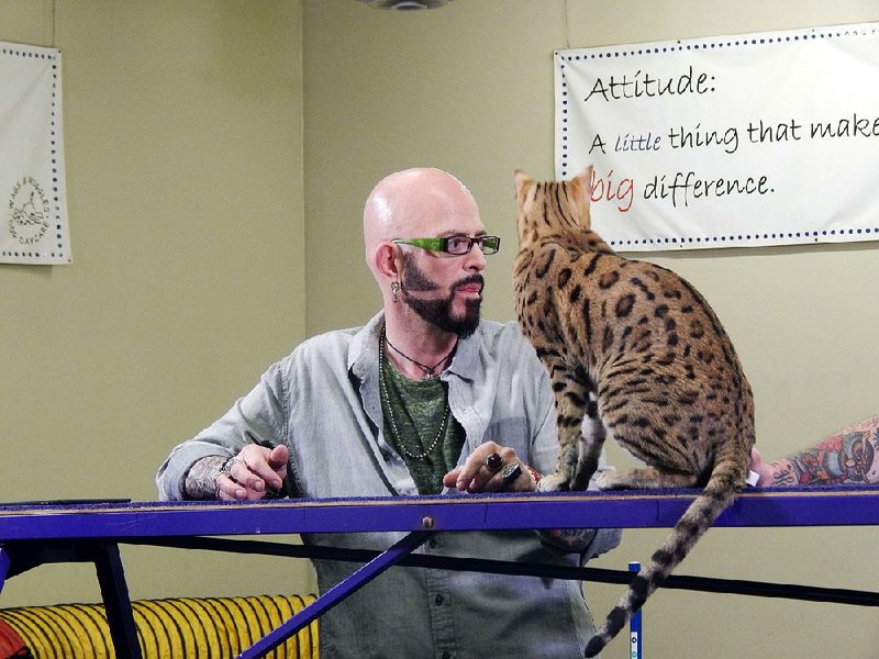 Jackson Galaxy helps a querulous Savannah adjust to its people (and vice versa) when My Cat From Hell returns to Animal Planet at 8 p.m. Saturday. 

