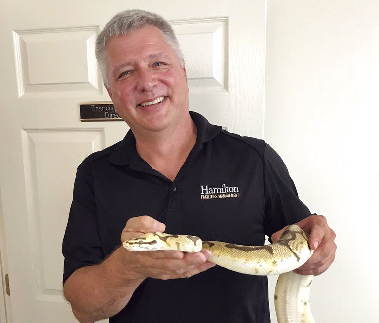 In this Aug. 28, 2018 photo provided by Hamilton College, campus security person Don Croft holds a five-foot snake that he retrieved from a student's dormitory room at Hamilton College in Clinton, N.Y. Syracuse.com reported that the snake belonged to another student and got away. (Francis S. Coots/Hamilton College via AP)