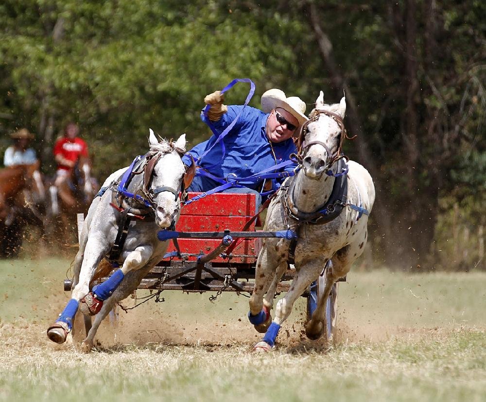 Chuckwagon Racing in Clinton
