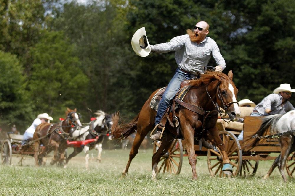 Chuckwagon Racing in Clinton The Arkansas DemocratGazette Arkansas