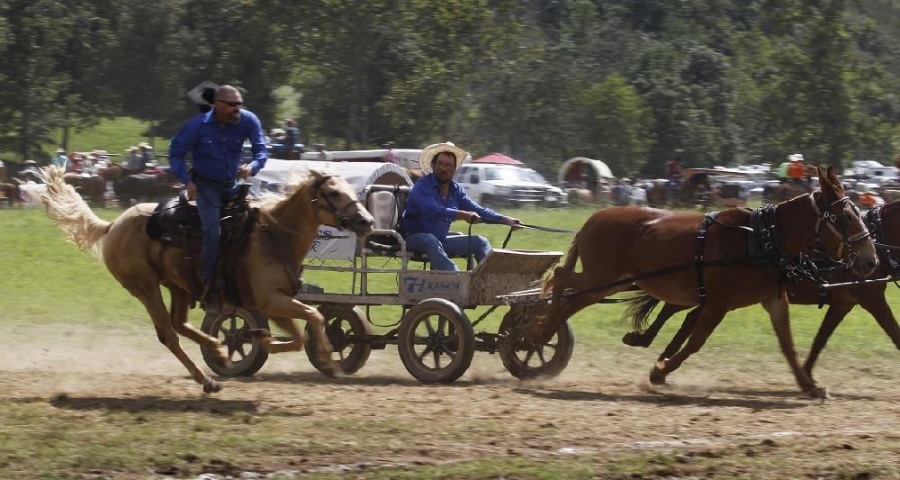 Chuckwagon Racing in Clinton | The Arkansas Democrat-Gazette - Arkansas ...