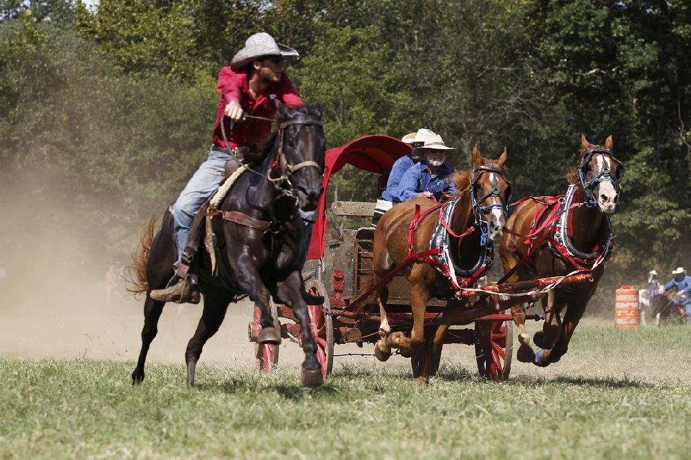 Chuckwagon Racing in Clinton