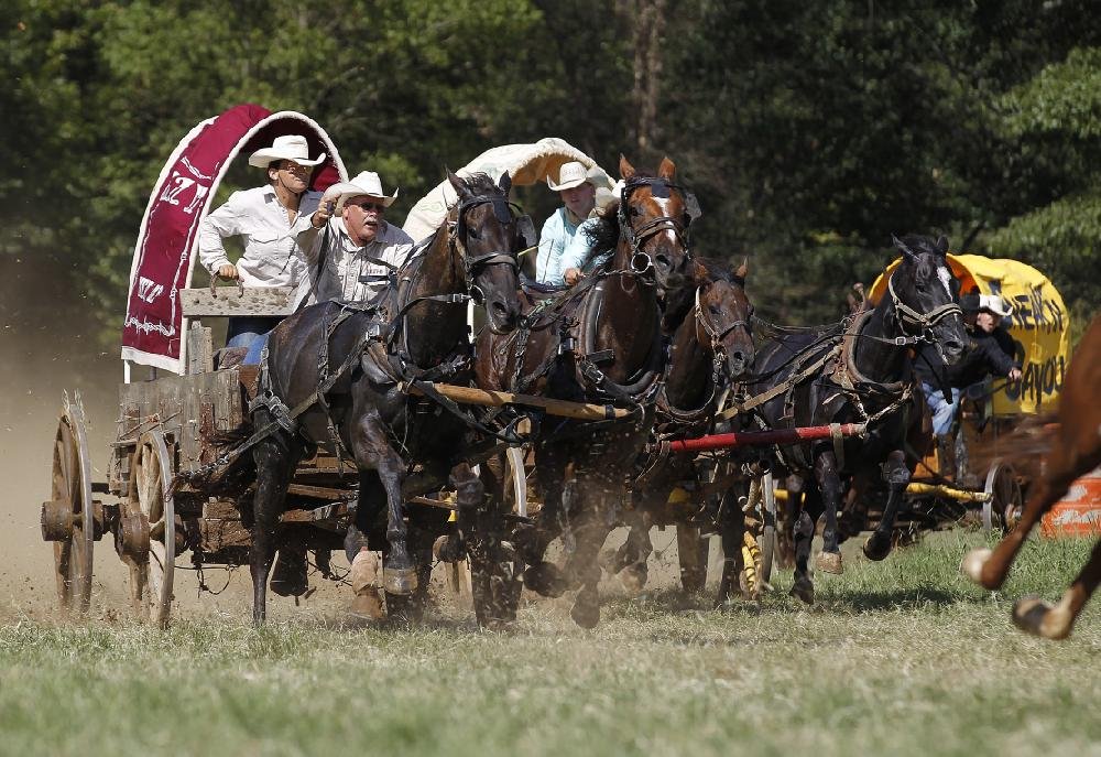 Chuckwagon Racing in Clinton | The Arkansas Democrat-Gazette - Arkansas ...