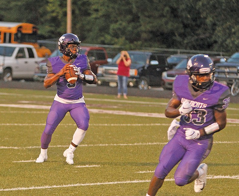 Terrance Armstard/News-Times El Dorado quarterback Alex Hicks drops back to pass in action Friday night against Camden Fairview. Hicks has accounted for eight touchdowns in the Wildcats' first two games this season. 