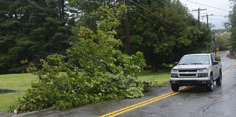 A motorist travels in the oncoming lane along Old Turnpike Road in Drums, Pa., on Monday, to avoid a tree knocked down from a heavy rainfall and strong winds that have stalled in the area.