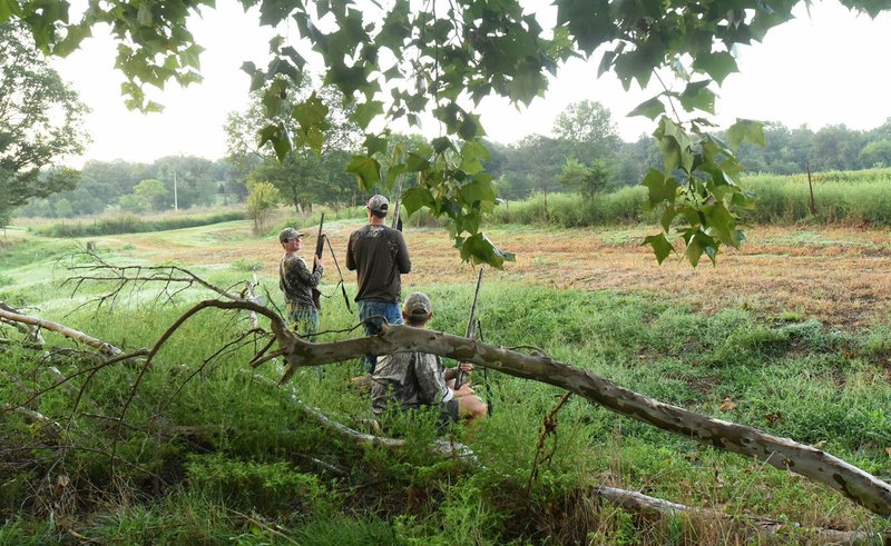 NWA Democrat-Gazette/FLIP PUTTHOFF Opening morning of dove hunting season dawns on Carter Nye, 12 (from left), his dad, Rodney Nye, and Dax Weindorf, 13. Dove season opened Sept. 1 across Arkansas.