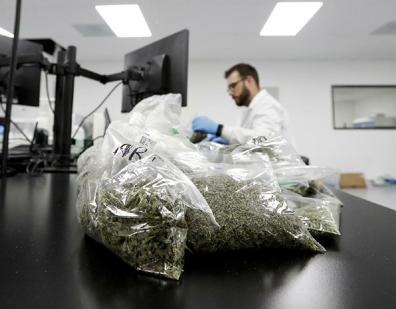 Marijuana samples are piled up for testing last month at Cannalysis, a cannabis-testing laboratory in Santa Ana, Calif. 