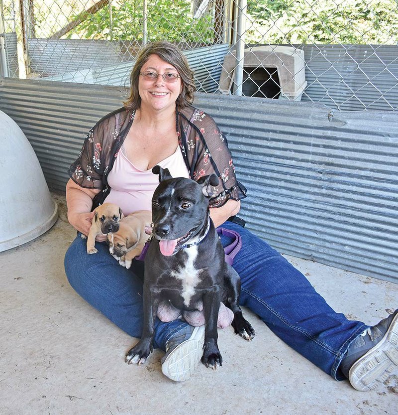 Lori Treat, director of the SNYP (Spay and Neuter Your Pets) Arkansas Spay/Neuter Clinic and Animal Shelter in Clinton, holds, from left, Mini, Tubby and Madia. Treat founded the nonprofit organization SNYP Arkansas to provide a low-cost spay-and-neuter clinic. The group took over the Van Buren County Animal Shelter when it was in danger of closing because of its operating costs.