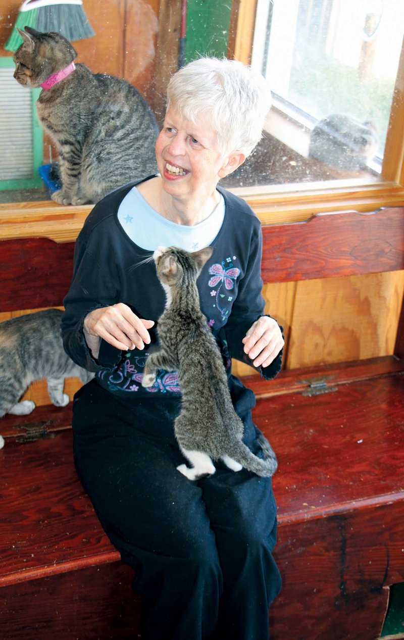 Marsha Halbert visits the Humane Society of Clark County every Saturday to play and visit with the cats that are at the shelter. Shelter director Amanda Malcom Bell said her visits are beneficial not only for Halbert, but for the cats as well.
