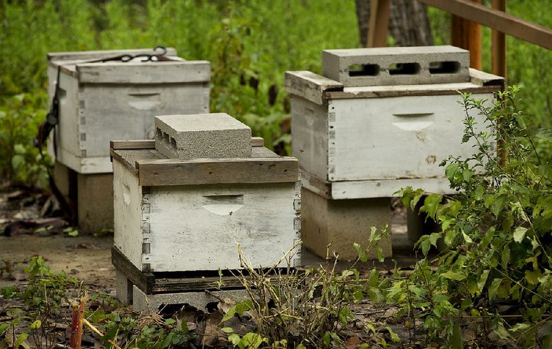 Military contractor BAE Systems in Austin, Texas, lets the nonprofit American Honey Bee Protection Agency keep 10 permanent hives on its property and says its environmental work dovetails with the company motto: “We protect those who protect us.” 