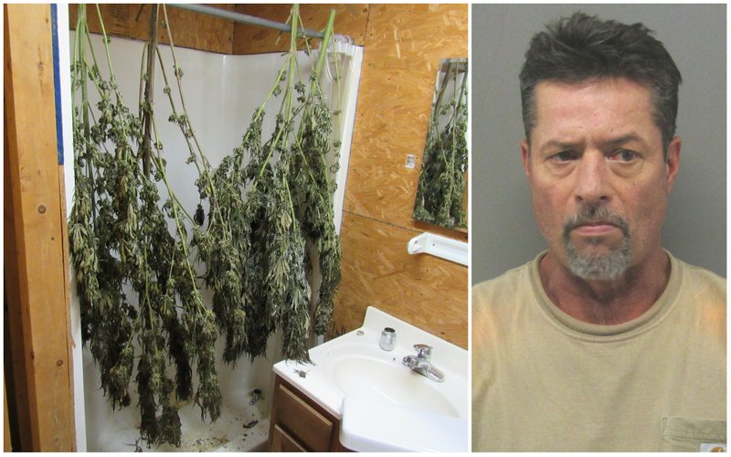 From left, marijuana found in the home of 54-year-old James Ledbetter, who was arrested Monday, Oct. 1, 2018.