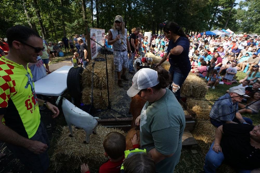 Arkansas Goat Festival