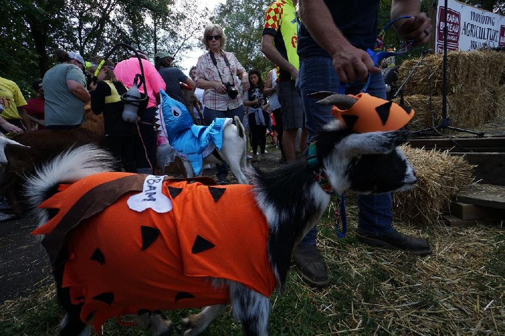 Arkansas Goat Festival