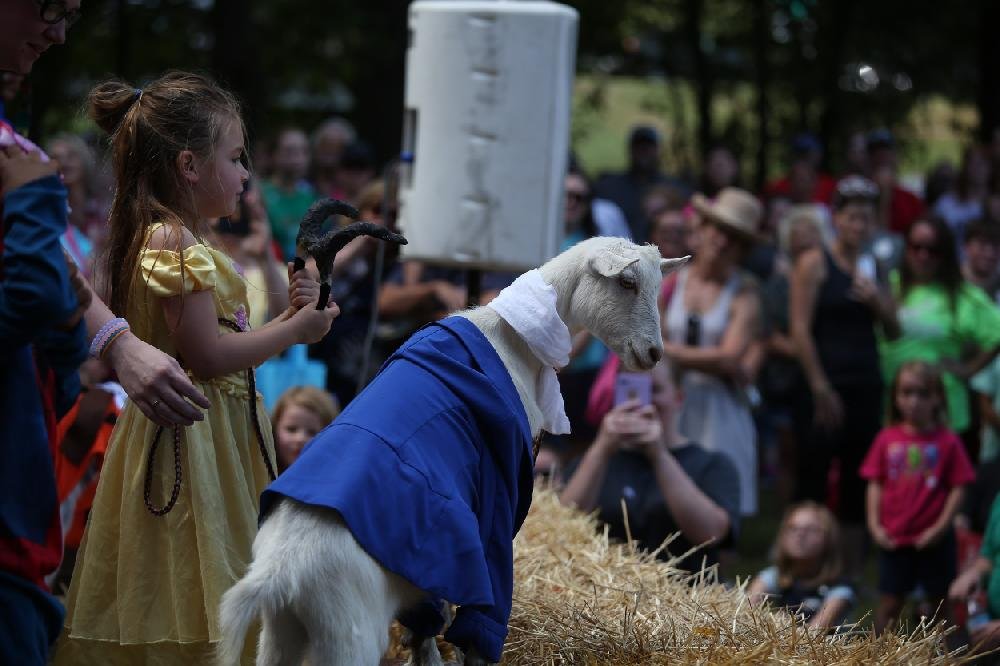 Arkansas Goat Festival