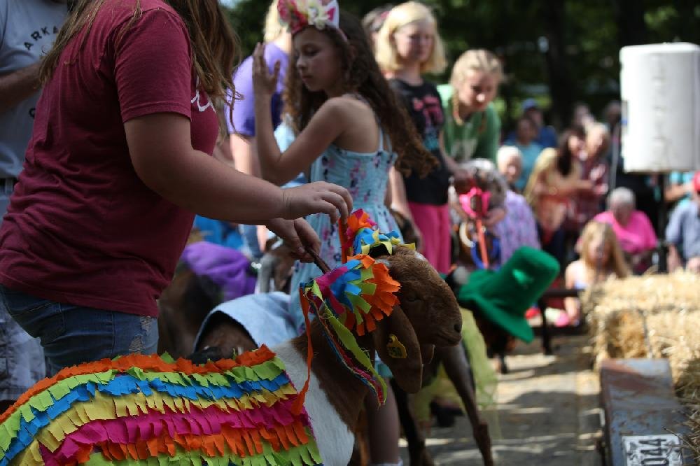 Arkansas Goat Festival