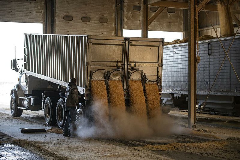 A driver unloads corn in February at the Poet biorefining facility in Jewell, Iowa. The company specializes in creating ethanol. 