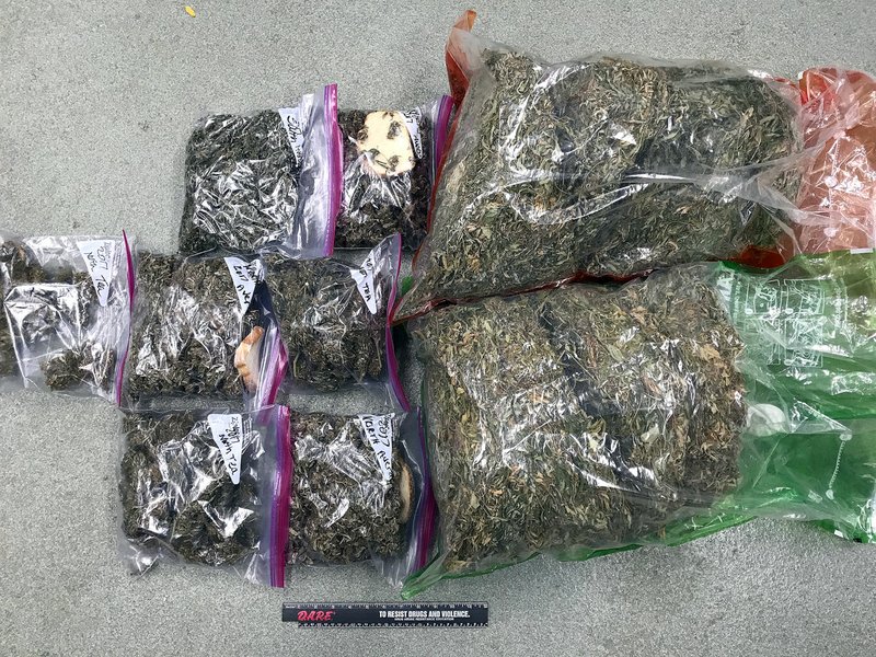 COURTESY PHOTO/The MCSO recently confiscated 16 pounds of freshly-harvested marijuana following a search warrant in rural Pineville. Deputy Bill Cagle explained that many growers will place bread or crackers in the marijuana bags to help wick away moisture.