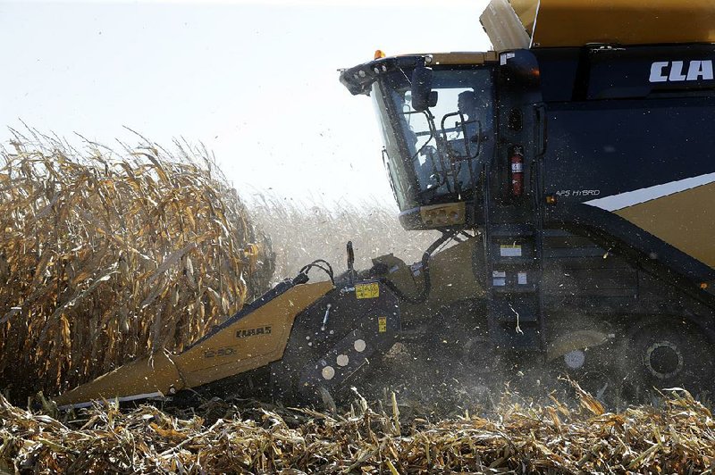 A farmer harvests corn in September near Wood River, Neb. Declines in food and energy costs offset a rise in producer prices last month, the Labor Department said. 
