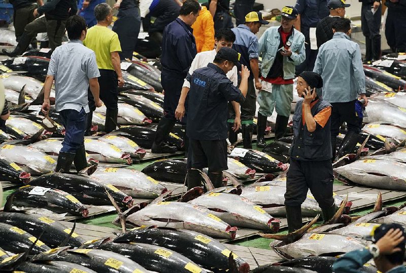 Buyers check out the fresh tunas Thursday before the first auction at the new Toyosu fish market in Tokyo.