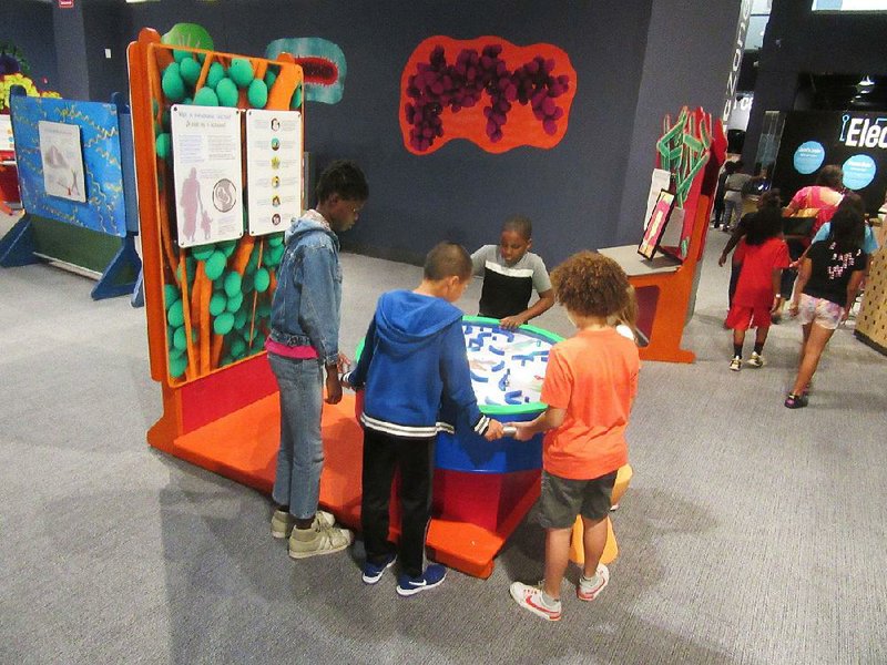 Visitors to the Orlando Science Center wobble a table to maneuver a ball past areas where microbes dwell. 