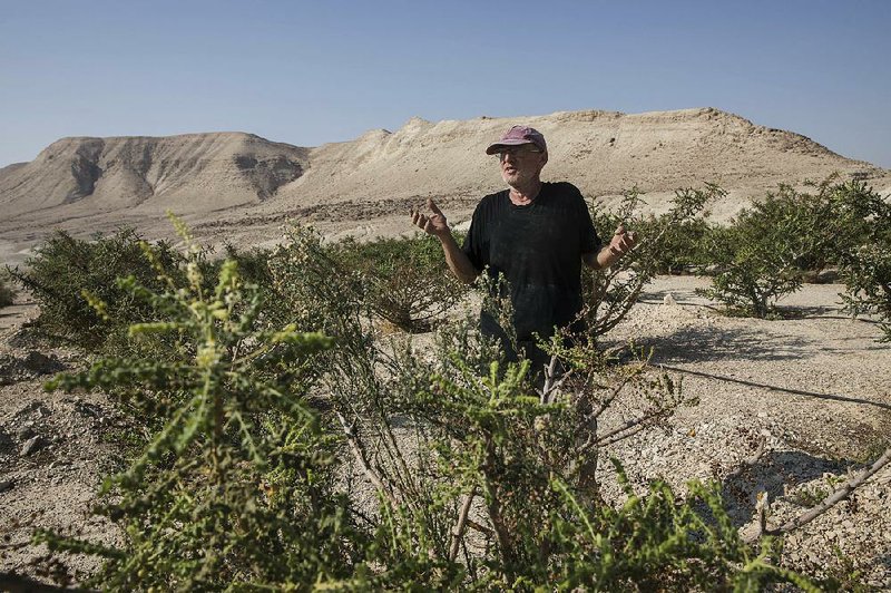 Guy Erlich shows off his farm in Almog, an Israeli settlement and kibbutz near the northwestern shores of the Dead Sea in the Jordan Valley, where his bees produce honey from a rare tree that produces frankincense. 