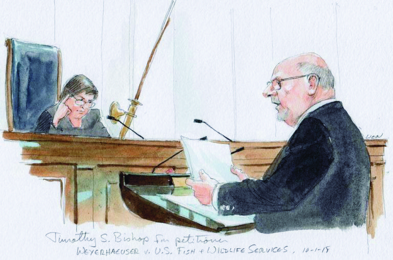 Weyerhaeuser attorney Timothy S. Bishop (right) is seen in a government sketch on Monday, Oct. 1, arguing his client’s case against the U.S. Fish and Wildlife Service before Associate Justice Elena Kagan (left) and United States Supreme Court.