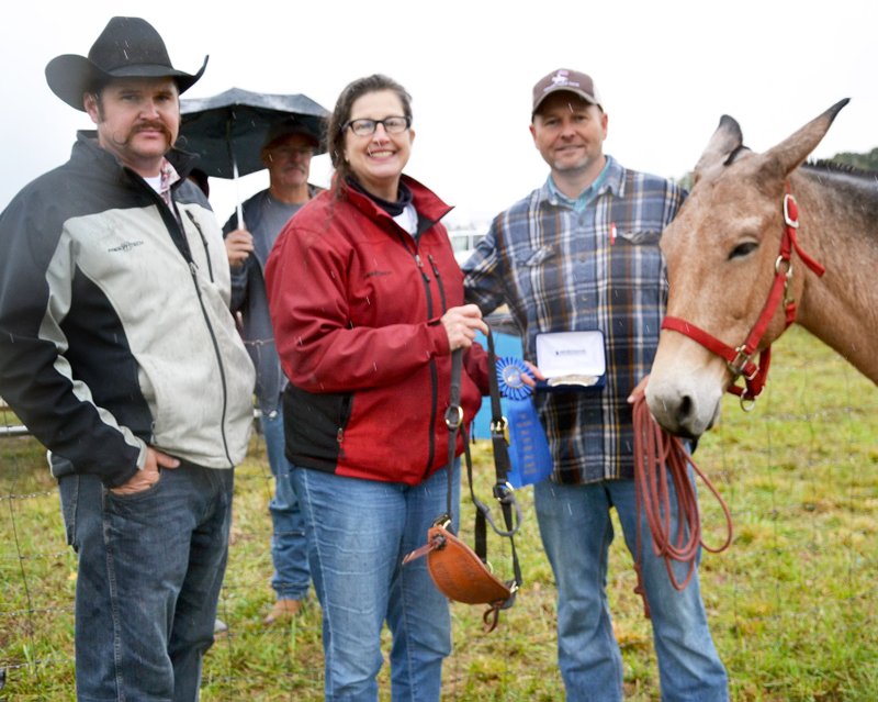 TIMES photograph by Annette Beard Sadie cleared 61.5 inches to win the 30th annual Pea Ridge Mule Jump for owner Les Clancy of Ozark, Mo. Clancy was presented a ribbon, a Montana belt buckle, a check, and a handmade bridle from Sue Elverston and Allen McBurnett, maker of the bridle.