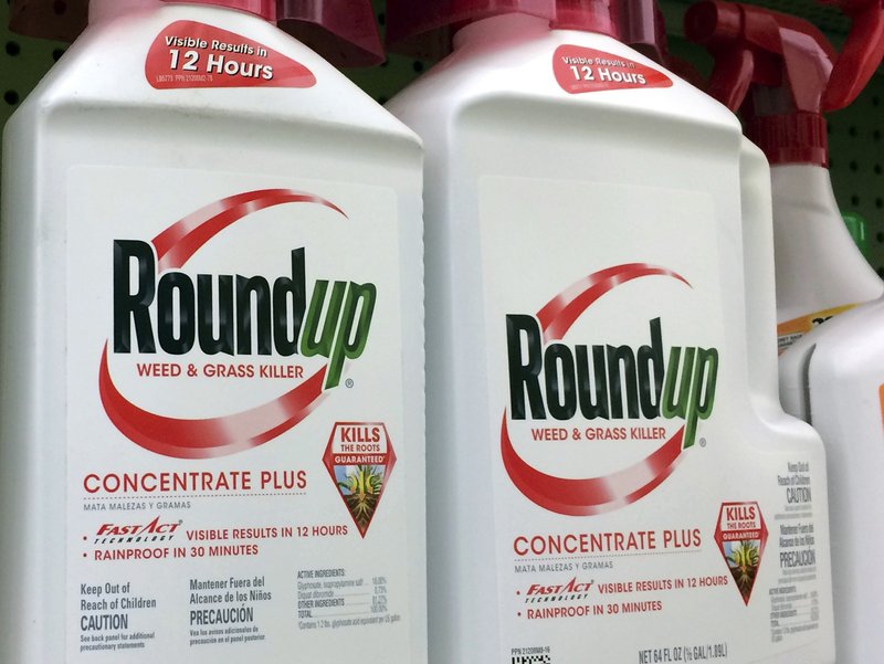 This Jan. 26, 2017 file photo shows containers of Roundup, a weed killer made by Monsanto, on a shelf at a hardware store in Los Angeles. Jurors who found that agribusiness giant Monsanto's Roundup weed killer contributed to a school groundskeeper's cancer are urging a San Francisco judge not to throw out the bulk of their $289 million award in his favor, a newspaper reported Monday, Oct. 15. (AP Photo/Reed Saxon, File)