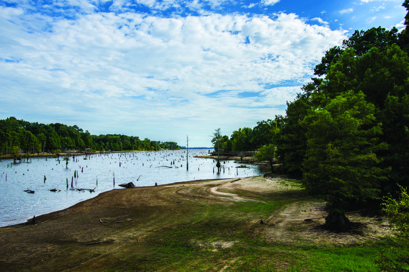 Lake Erling set for another drawdown amid ongoing stump maintenance