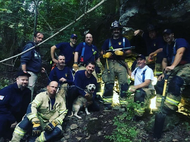 COURTESY/City of Fayetteville Molly the dog is seen with Fayetteville firefighters who rescued her Tuesday from a cave at Kessler Mountain.