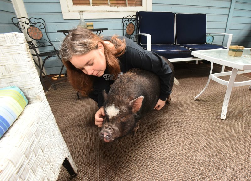 Marilyn Sloas plays on her porch with Fat Boy, one of two pot-bellied pigs she keeps at her home in Eureka Springs.