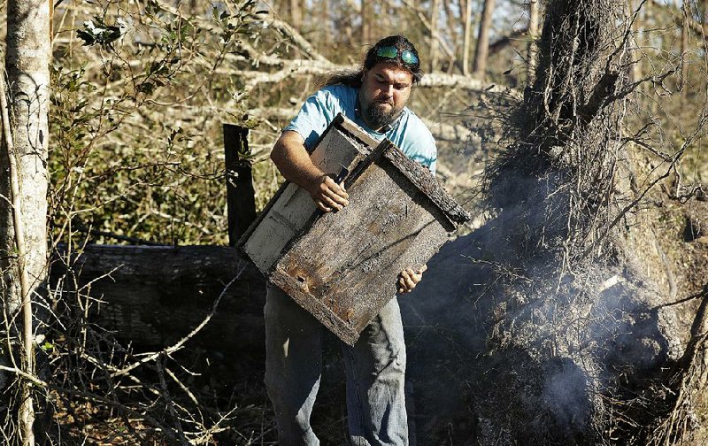 Justin Sours moves a beehive Friday near where a tree was knocked down by winds from Hurricane Michael in Wewahitchka, Fla. The storm devastated nectar- and pollen-producing plants used by bees that produce tupelo honey.