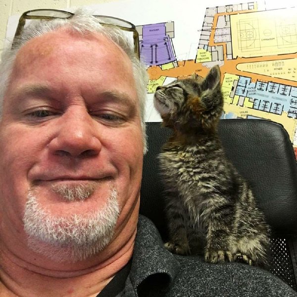 JENNIFER CHRISTMAN Found Felines Friended By Compassionate Caregivers