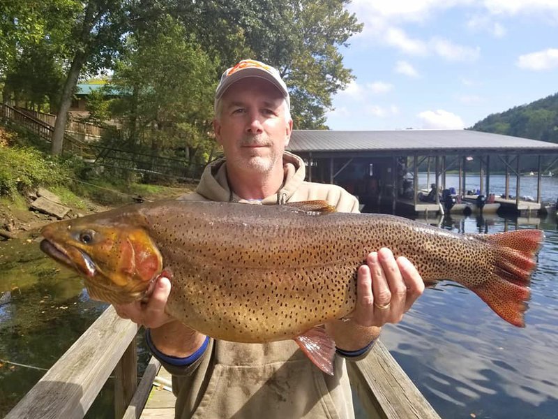 Photo submitted Mike Bowers of Abilene, Kan., caught the record-breaking Cutthroat trout, breaking a record held nearly 33 years, last weekend. Bowers said he has fished the North Fork of the White River for longer than the record had held and makes two or three trips to Arkansas's northern trout streams each year.