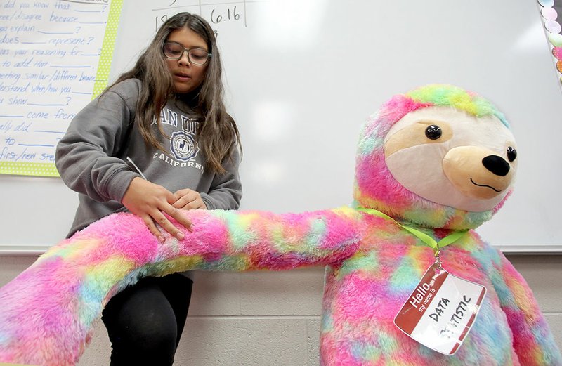 Aleah Lobaton, a sixth-grader at Hellstern Middle School, collects data Thursday from measuring a stuffed animal in Tammy Cartmell's math class at the Springdale school. Three of Northwest Arkansas' 15 traditional public school districts grew by at least 3 percent this year over last: Fayetteville, Pea Ridge and Prairie Grove.