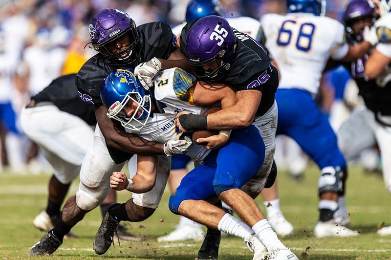 Ouachita Baptist defensive end Parker Witt (35) and defensive lineman Dameyun McDonald sack Southern Arkansas quarterback Barrett Renner (middle) during the Tigers’ 35-10 victory over the Muleriders on Saturday in Arkadelphia.