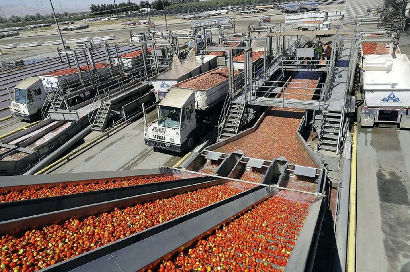 Tomatoes are washed at the Los Gatos Tomato Products plant in Huron, Calif., in September. The jump in U.S. producer prices in October was led by higher costs for food, fuel and chemicals. 