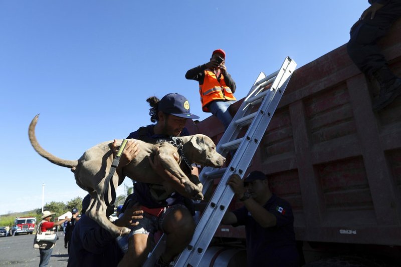 A Central American migrant, part of the caravan hoping to reach the U.S. border, carries his dog into a dump truck, on their way to Mazatlan, Mexico, Tuesday, Nov. 13, 2018. The U.S. government said it was starting work Tuesday to "harden" the border crossing from Tijuana, Mexico, to prepare for the arrival of a migrant caravan leapfrogging its way across western Mexico. (AP Photo/Rodrigo Abd)