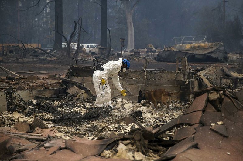 A searcher and his dog move through a burned home Wednesday in Paradise, Calif. At least 56 people have died, and about 8,800 homes were destroyed by the wildfire that roared through Paradise. 