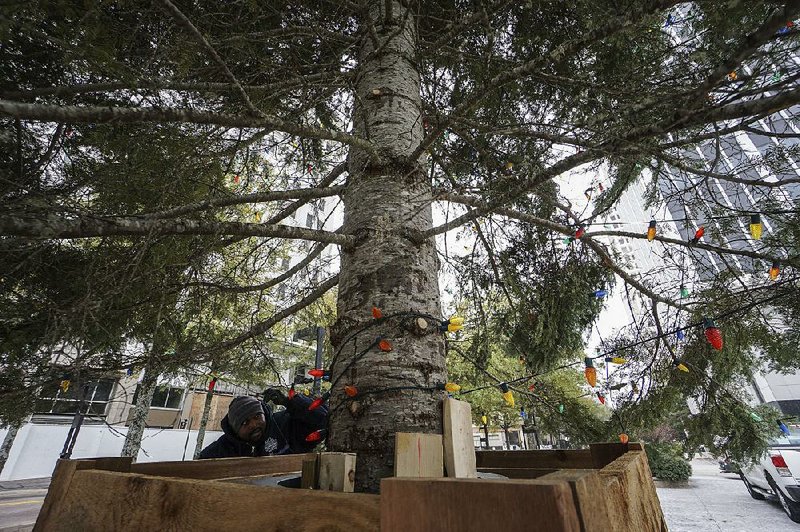 Arkansas Democrat-Gazette/MITCHELL PE MASILUN -- 11/14/2018 --
Gary Spearmon with the Downtown Little Rock Partnership puts up Christmas Lights on the city tree in Little Rock Wednesday, Nov 14, 2018.