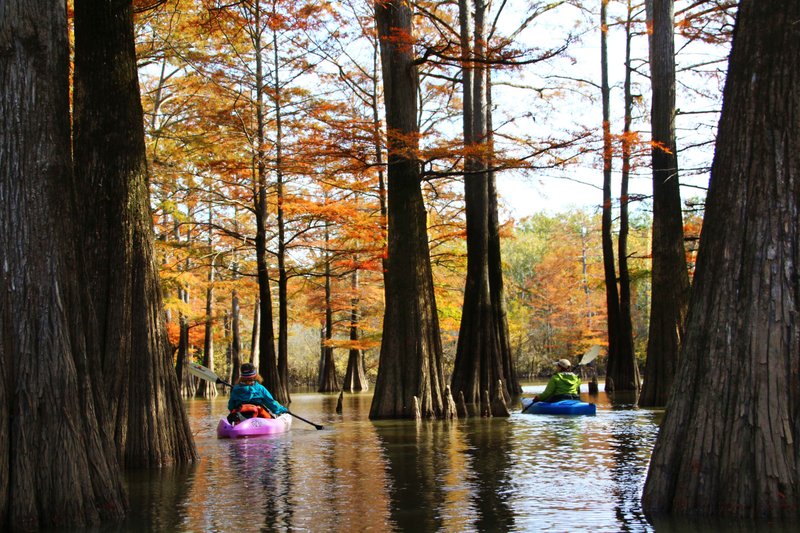 Gayle Nealis (left) and Nancy Raney enjoy one of Arkansas’ natural treasures, a canoe trail in the Dale Bumpers White River National Wildlife Refuge. (Special to the Democrat-Gazette/BOB ROBINSON)