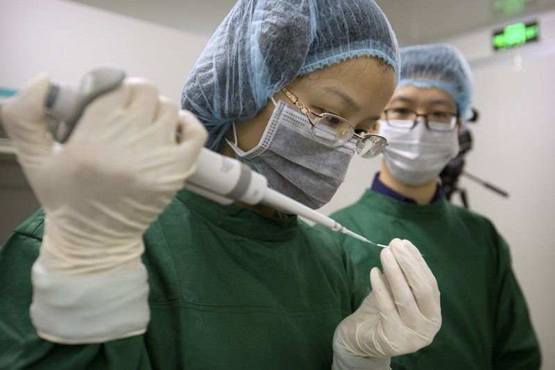 In this Oct. 9, 2018 photo, Zhou Xiaoqin, left, loads Cas9 protein and PCSK9 sgRNA molecules into a fine glass pipette as Qin Jinzhou watches at a laboratory in Shenzhen in southern China's Guangdong province. Chinese scientist He Jiankui claims he helped make world's first genetically edited babies: twin girls whose DNA he said he altered. He revealed it Monday, Nov. 26, in Hong Kong to one of the organizers of an international conference on gene editing. (AP Photo/Mark Schiefelbein)