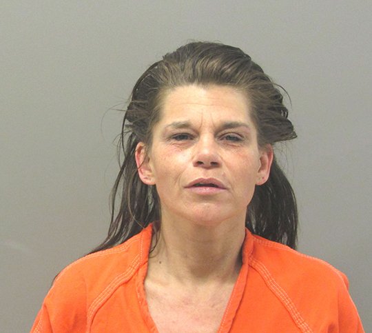 Local Woman Pleads Guilty To Felony Battery Charge From Home Invasion