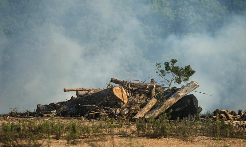 File Photo/NWA Democrat-Gazette/BEN GOFF Smoke rises Aug. 2 from an underground fire at the former 'stump dump' site on Trafalgar Road in Bella Vista.