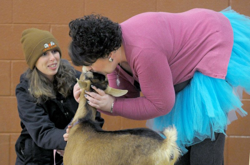 NWA Democrat-Gazette/DAVID GOTTSCHALK Claire Mitchell (left) holds Zelda, Wednesday as the goat receives a kiss from Ruth Mobley, assistant principal at Washington Elementary School, during an assembly at the school in Fayetteville. The kissing of the goat was a reward to the student body for collecting over 500 boxes of macaroni and cheese for the Northwest Arkansas Food Bank. Mobley and Ashley McLarty, principal, both kissed Zelda.