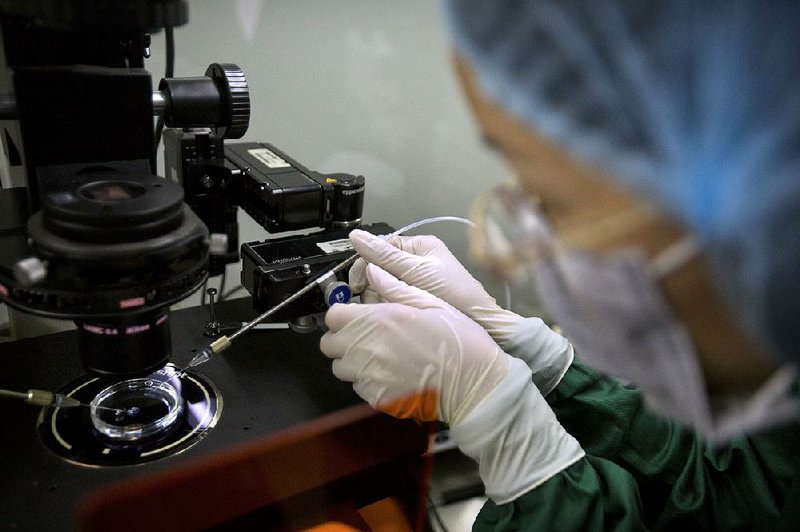Zhou Xiaoqin prepares to inject embryos with a DNA-altering protein compound at a laboratory in China’s Guandong province in October. The Chinese government halted the research Thursday.