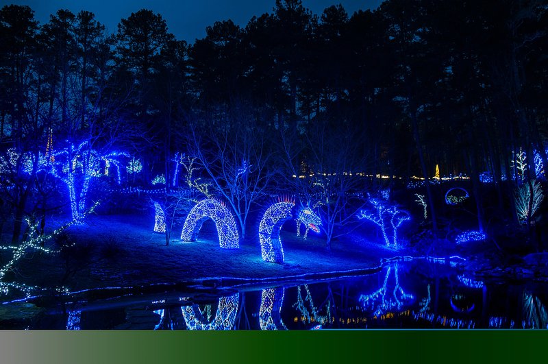 The Loch Ness Monster is part of Garvan Woodland Gardens enchanted Christmas lights display, shining nightly through Dec. 31. 